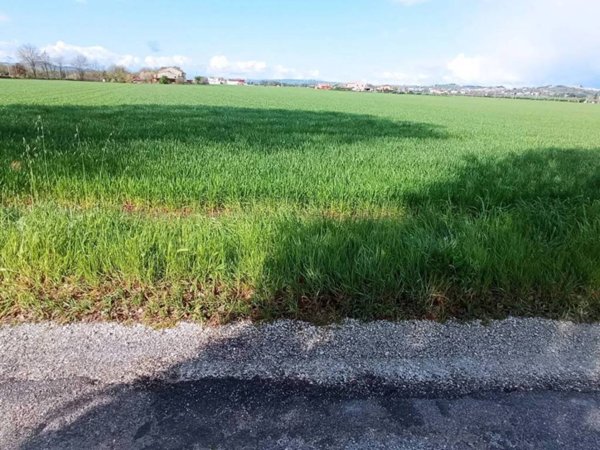 terreno agricolo in vendita a Mondolfo in zona Marotta