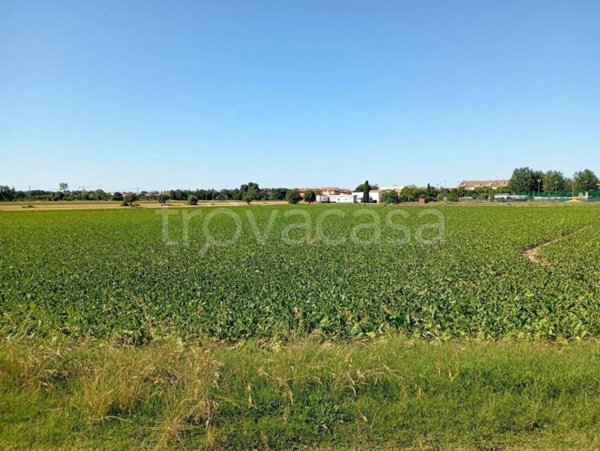 terreno agricolo in vendita a Mondolfo in zona Marotta