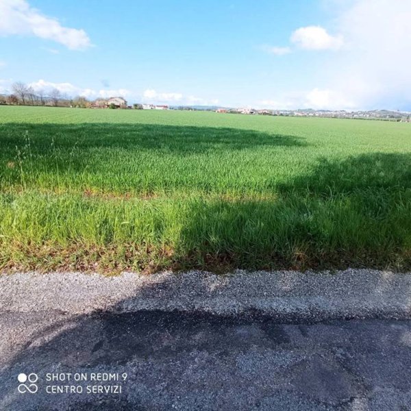 casa indipendente in vendita a Mondolfo in zona Marotta