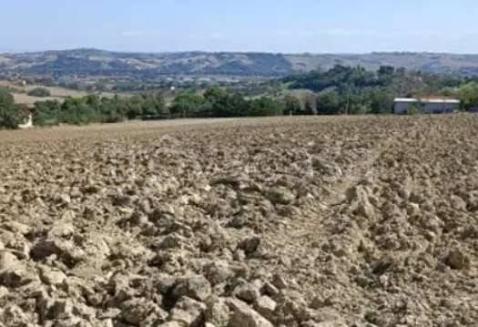 appartamento in vendita a Mondolfo