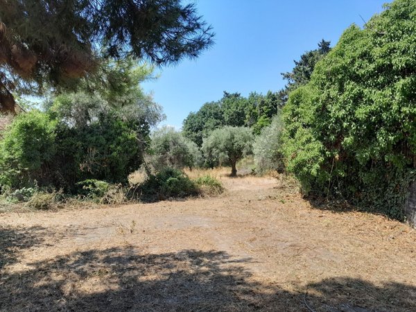 terreno in vendita a Mondolfo