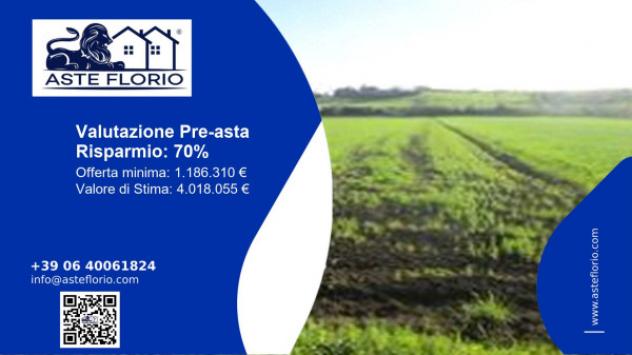terreno agricolo in vendita a Mondolfo