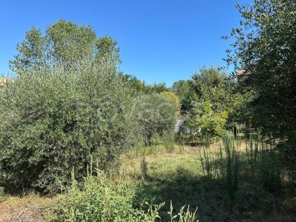 terreno agricolo in vendita a Mondolfo