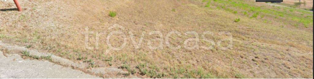 terreno agricolo in vendita a Montecalvo in Foglia in zona Borgo Massano