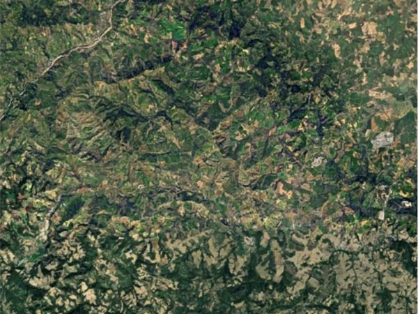 appartamento in vendita a Montecalvo in Foglia
