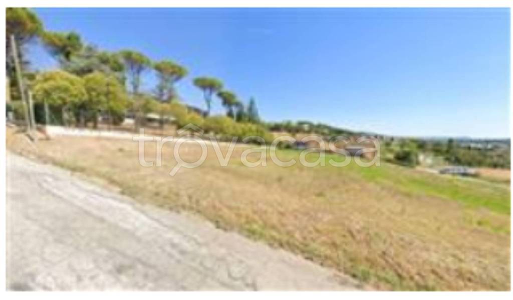 terreno agricolo in vendita a Montecalvo in Foglia in zona Borgo Massano