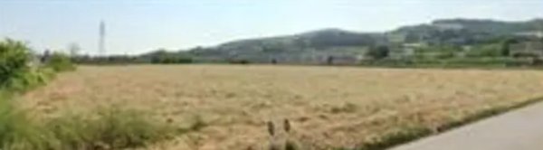 terreno edificabile in vendita a Montecalvo in Foglia