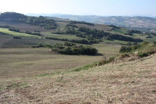 terreno agricolo in vendita a Montecalvo in Foglia