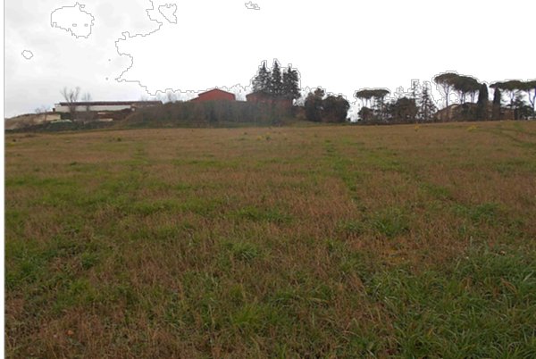 terreno agricolo in vendita a Montecalvo in Foglia in zona Borgo Massano
