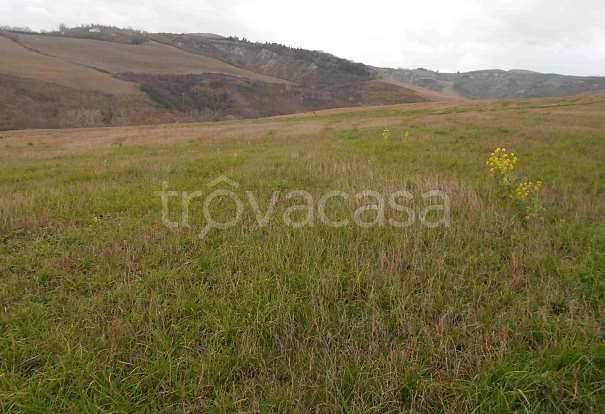 terreno agricolo in vendita a Montecalvo in Foglia in zona Borgo Massano