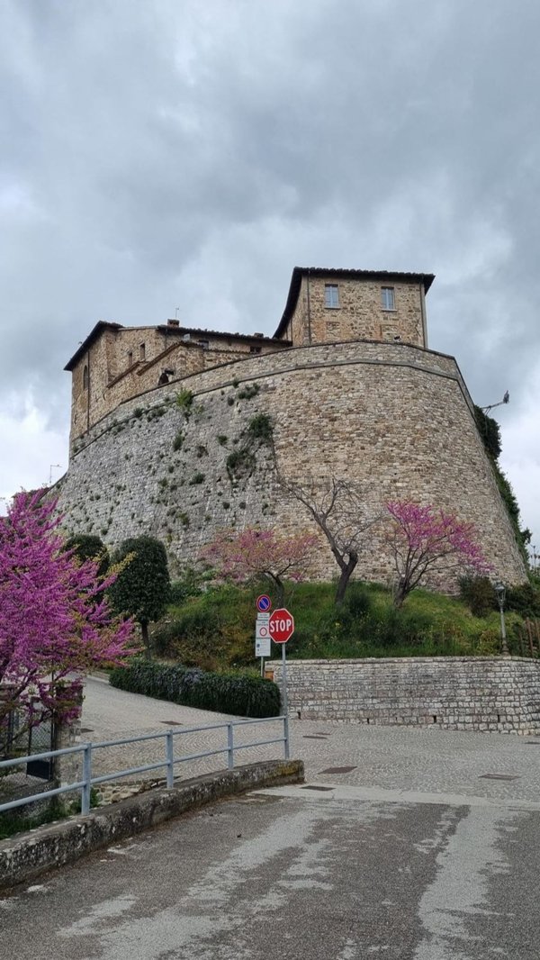 appartamento in vendita a Monte Cerignone