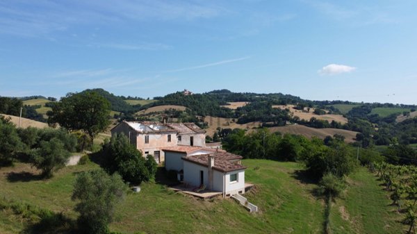 pentavano in vendita a Montefelcino