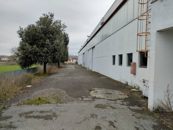 terreno agricolo in vendita a Montefelcino