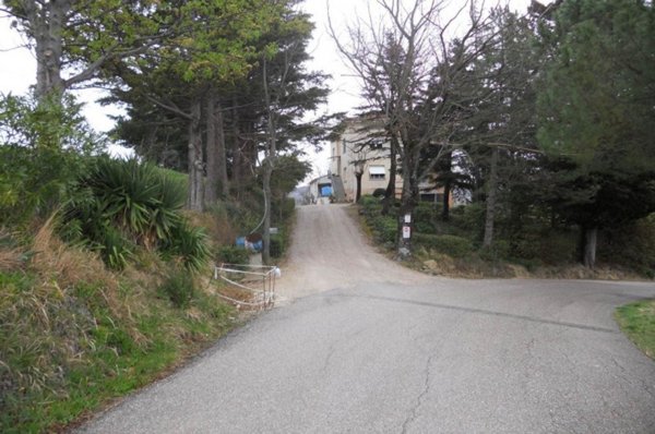 appartamento in vendita a Montefelcino