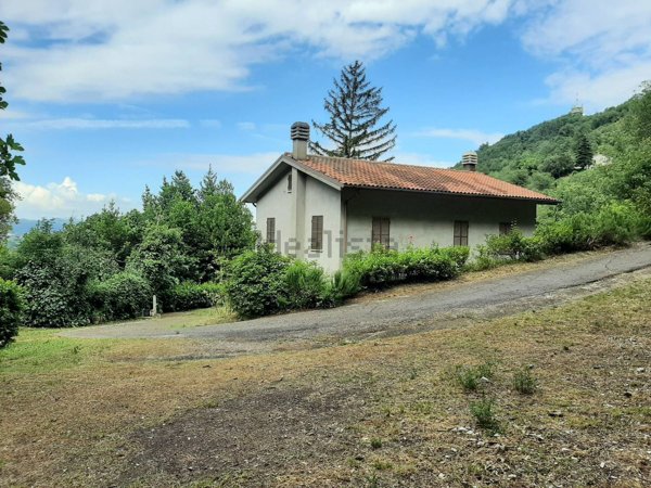 esavano in vendita a Montefelcino