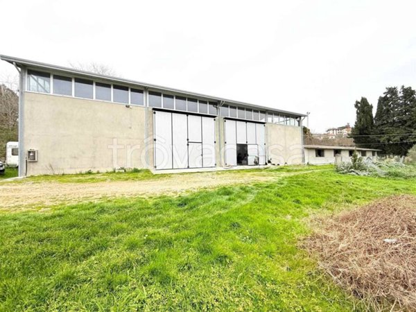 locale commerciale in vendita a Montefelcino