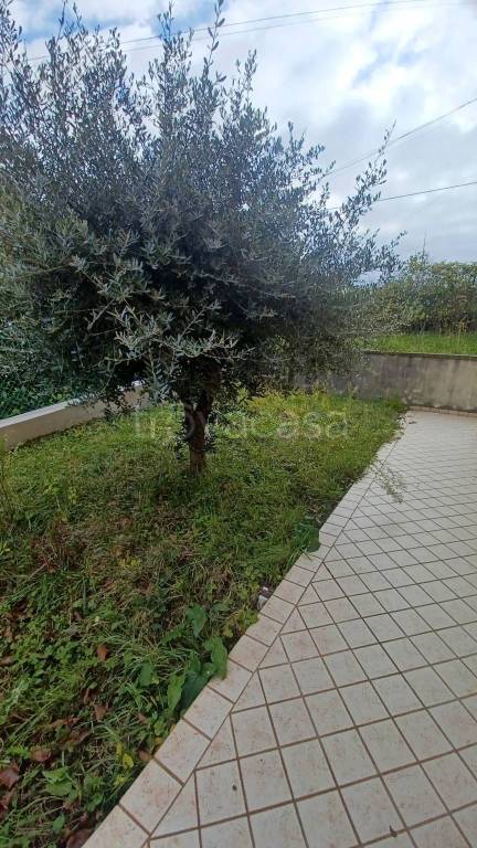 appartamento in vendita a Monte Grimano Terme