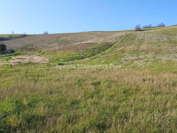terreno agricolo in vendita a Montelabbate in zona Osteria Nuova