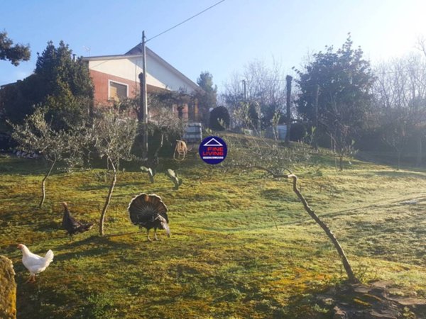 casa indipendente in vendita a Montelabbate