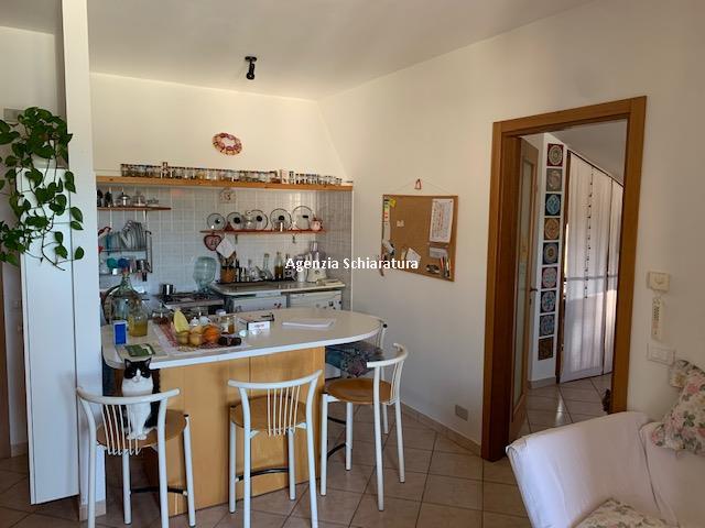 appartamento in vendita a Montelabbate