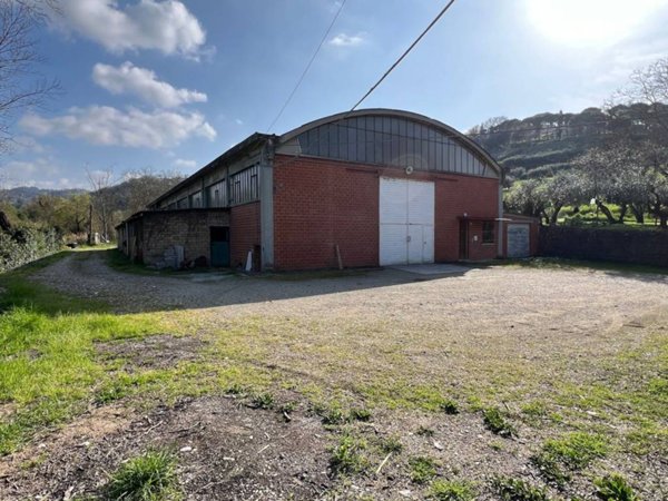 locale commerciale in vendita a Montelabbate