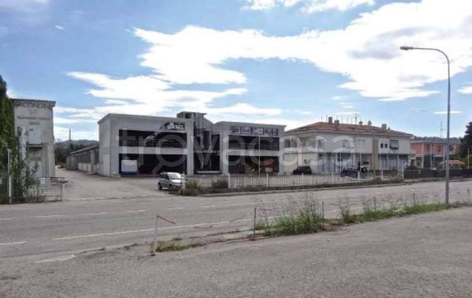 appartamento in vendita a Montelabbate