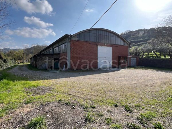 capannone in vendita a Montelabbate