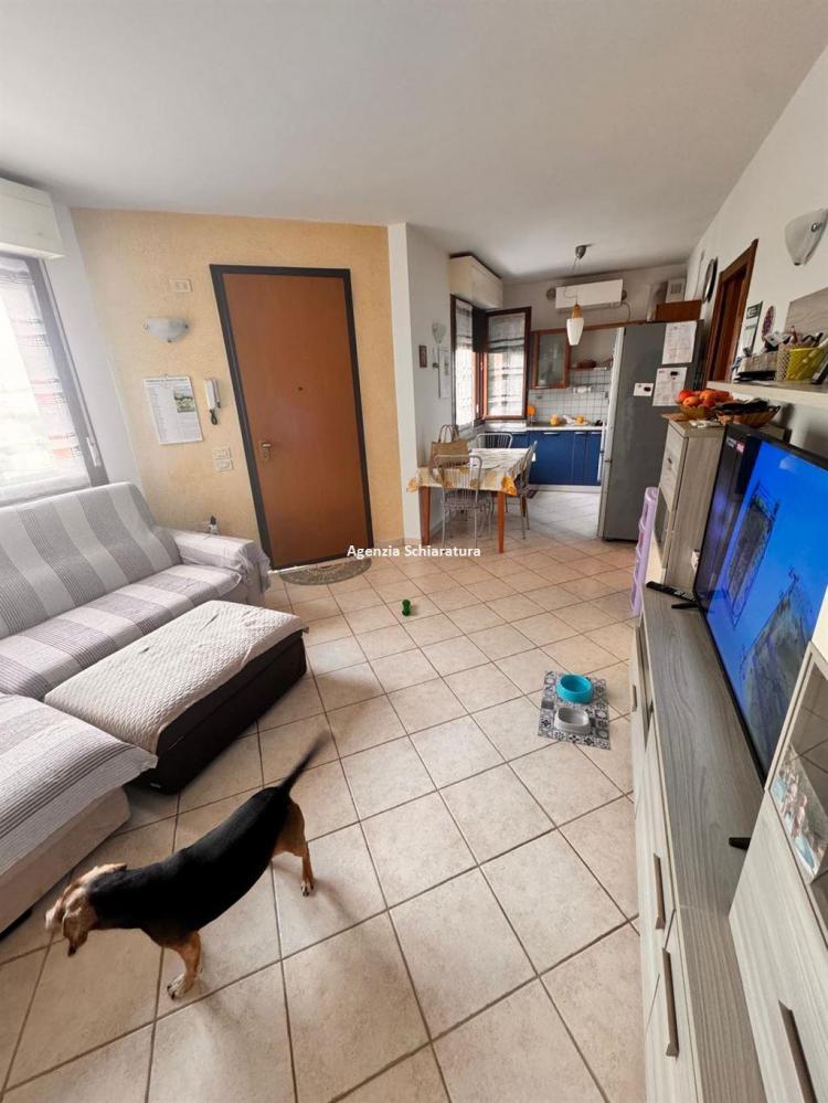 appartamento in vendita a Montelabbate