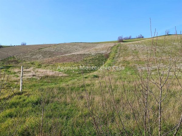 terreno agricolo in vendita a Montelabbate in zona Osteria Nuova