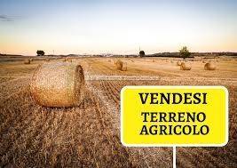 terreno agricolo in vendita a Montelabbate