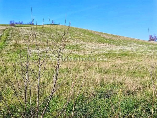 terreno agricolo in vendita a Montelabbate in zona Osteria Nuova