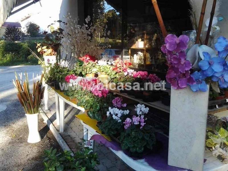 negozio in vendita a Montelabbate