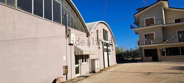 capannone in vendita a Montelabbate