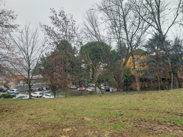 appartamento in vendita a Montelabbate