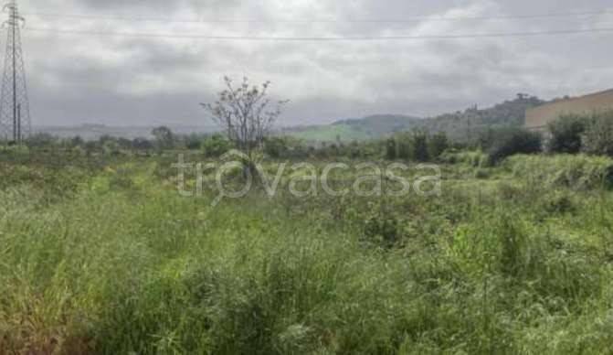 terreno agricolo in vendita a Montelabbate