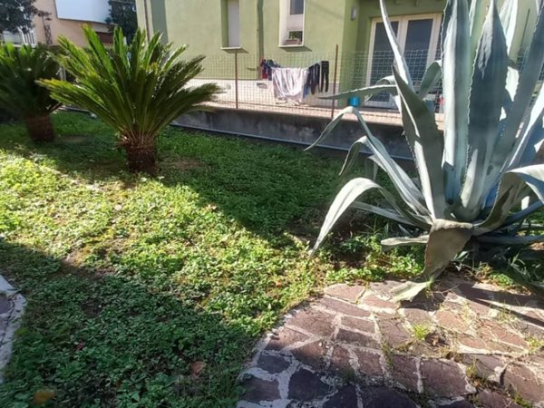 casa indipendente in vendita a Montelabbate