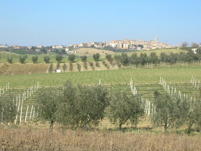 terreno agricolo in vendita a Monte Porzio