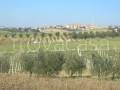 monolocale in vendita a Monte Porzio