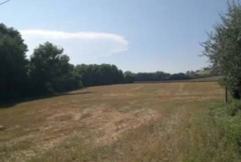 terreno agricolo in vendita a Monte Porzio