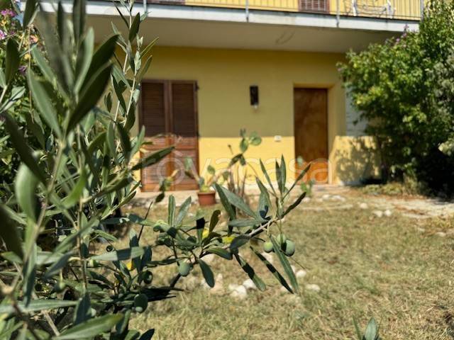 appartamento in vendita a Monte Porzio