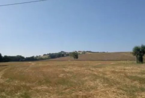 terreno agricolo in vendita a Monte Porzio