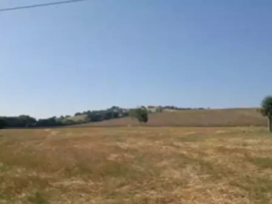 terreno agricolo in vendita a Monte Porzio