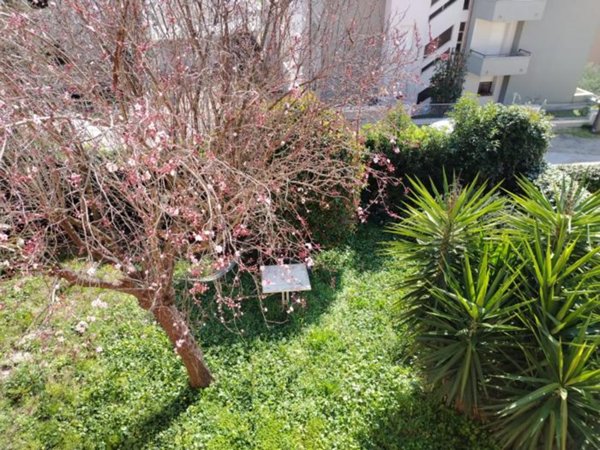 casa indipendente in vendita a Monte Porzio in zona Castelvecchio