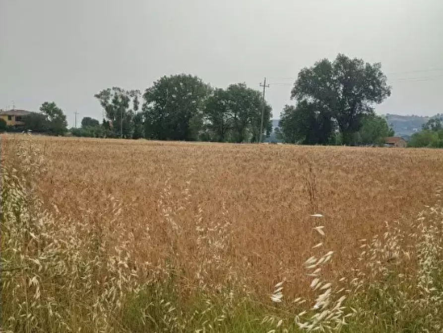 terreno agricolo in vendita a Monte Porzio