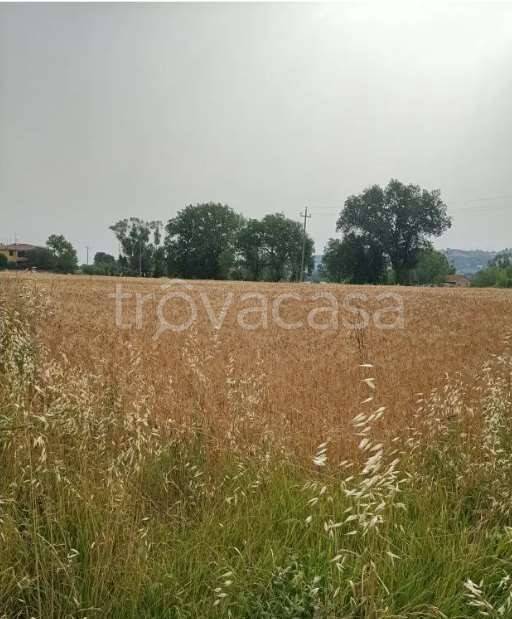 monolocale in vendita a Monte Porzio