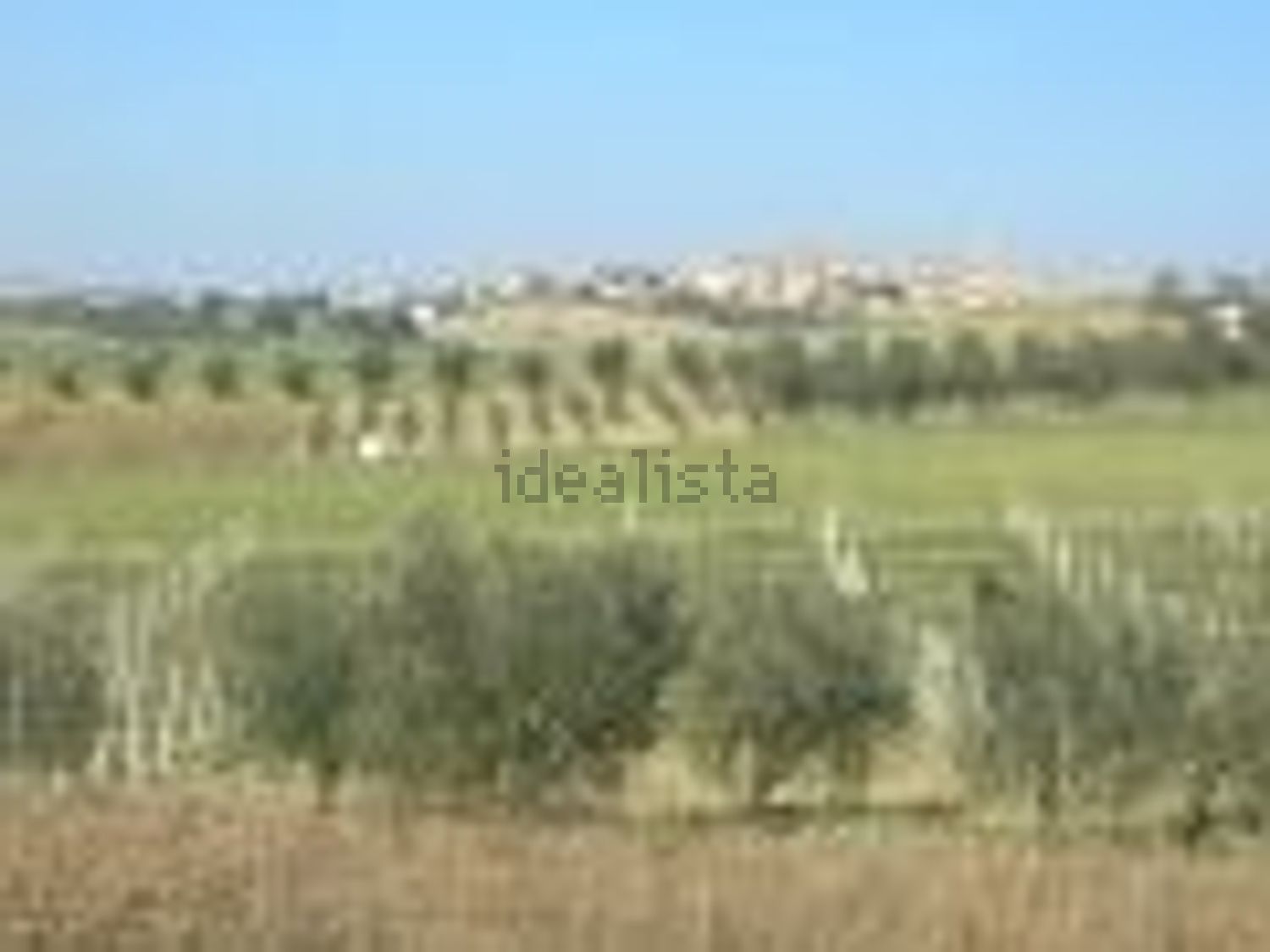 terreno agricolo in vendita a Monte Porzio