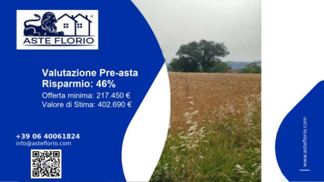 terreno agricolo in vendita a Monte Porzio in zona Castelvecchio