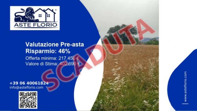 terreno agricolo in vendita a Monte Porzio in zona Castelvecchio