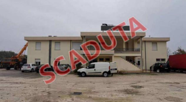 pentavano in vendita a Monte Porzio in zona Castelvecchio