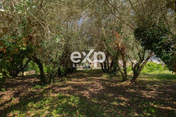 casa indipendente in vendita a Monte Porzio